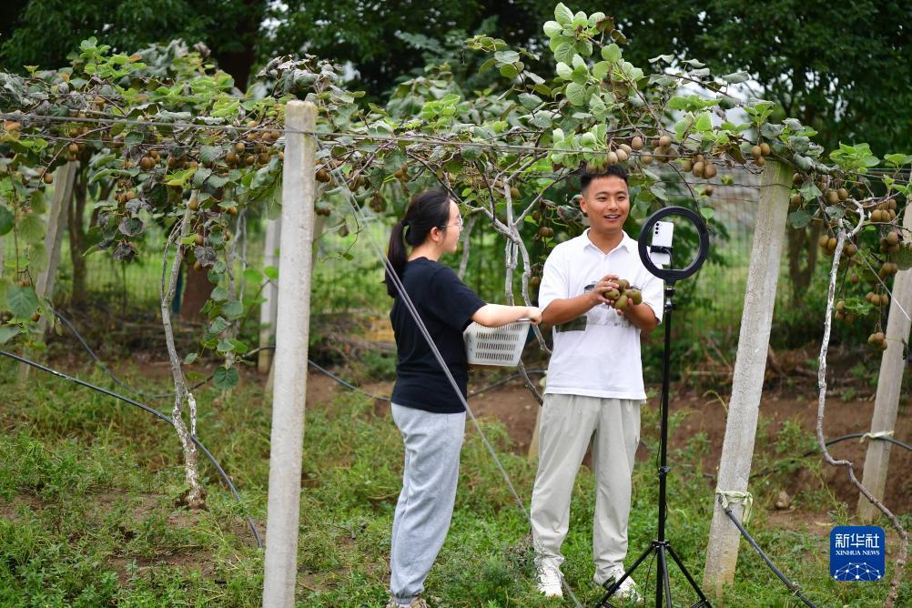 澳门新银河163网站多少